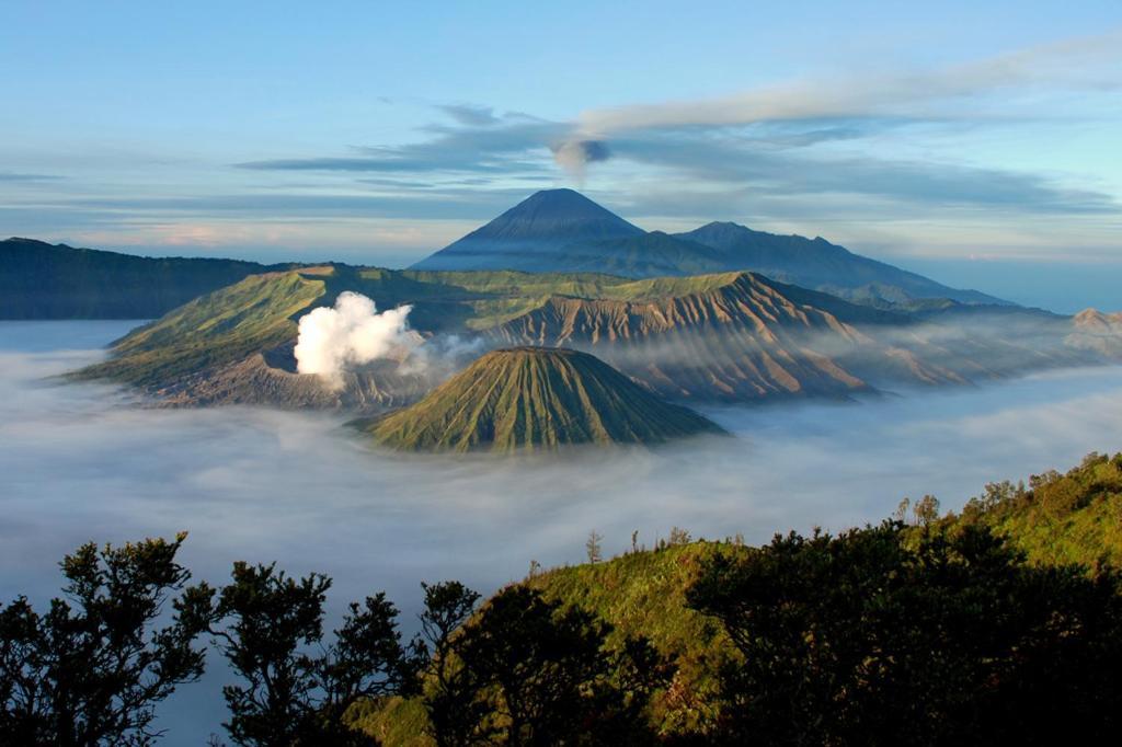 Hotel Lereng Bromo باسوروان المظهر الخارجي الصورة